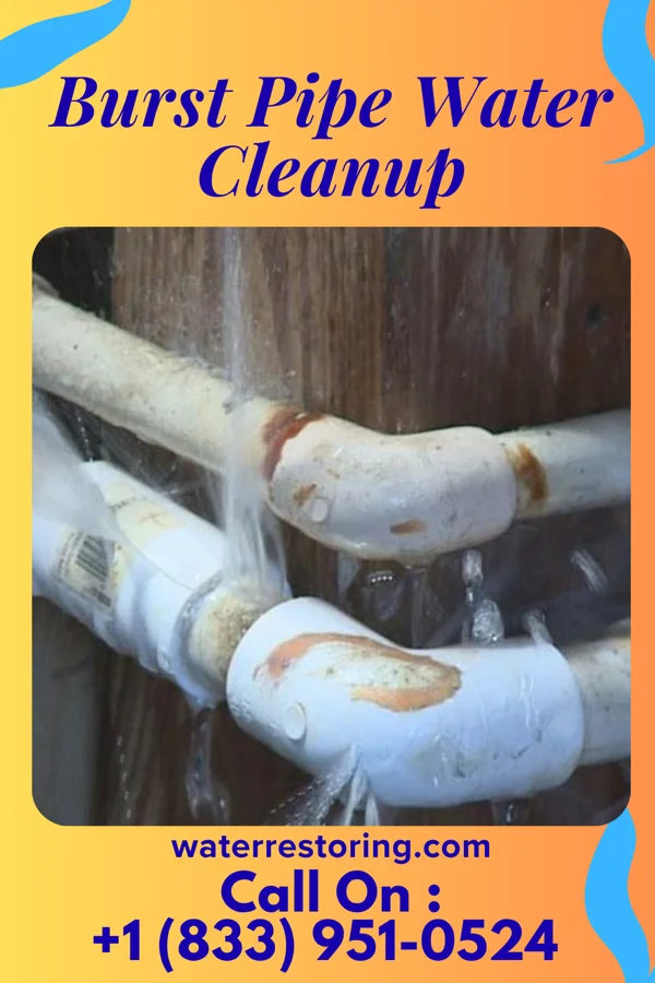 Burst Pipe Water Cleanup in Port Lavaca, TX