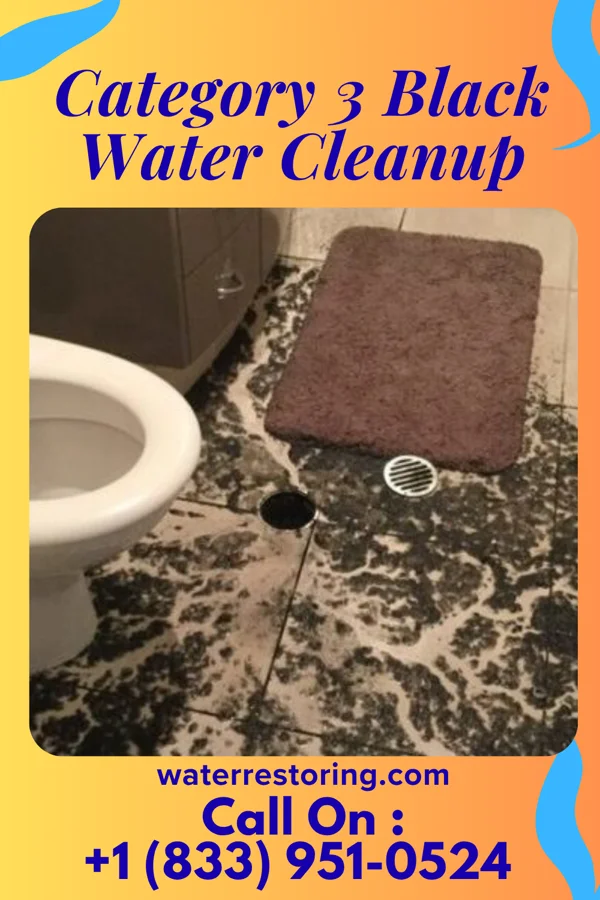 Category 3 Black Water Cleanup in Port Lavaca, TX