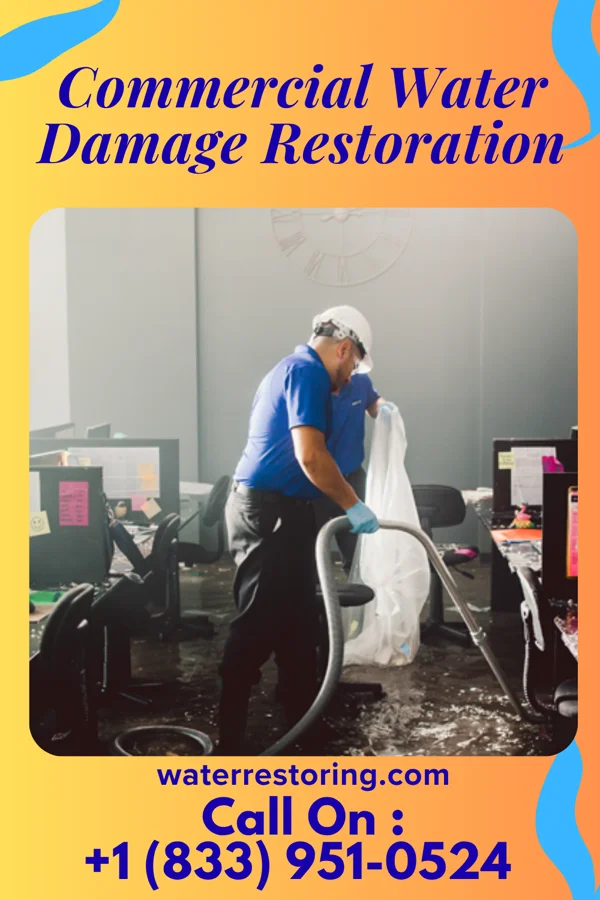 Commercial Water Damage Restoration in Port Lavaca, TX