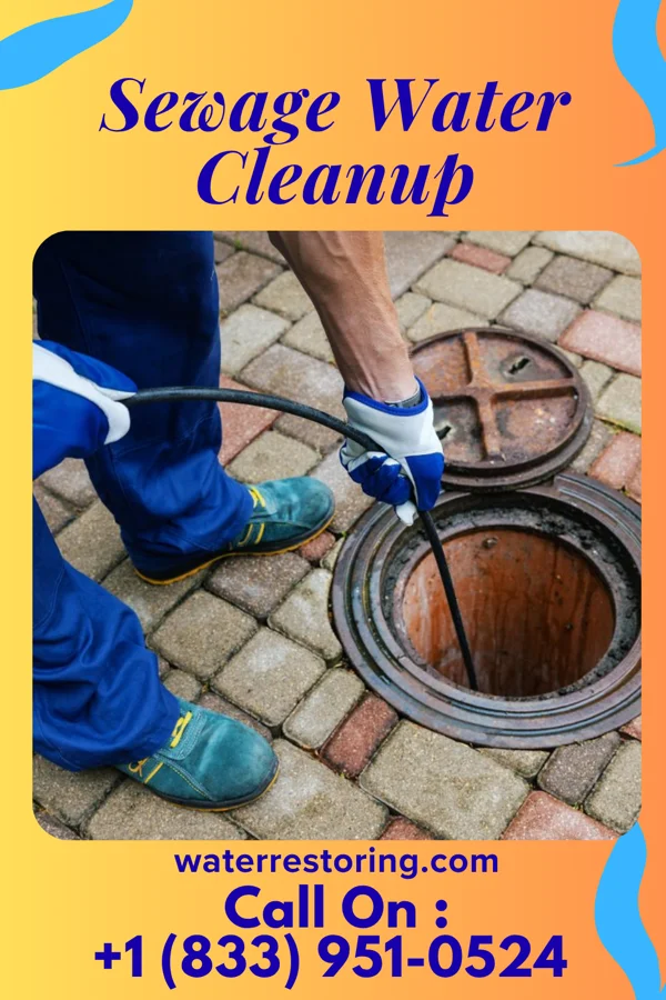 Sewage Water Cleanup in Port Lavaca, TX